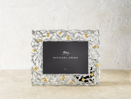 Pomegranate Silver & Gold 5x7 Frame Online Sale