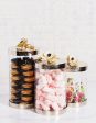 Anemone Canisters Online Hot Sale